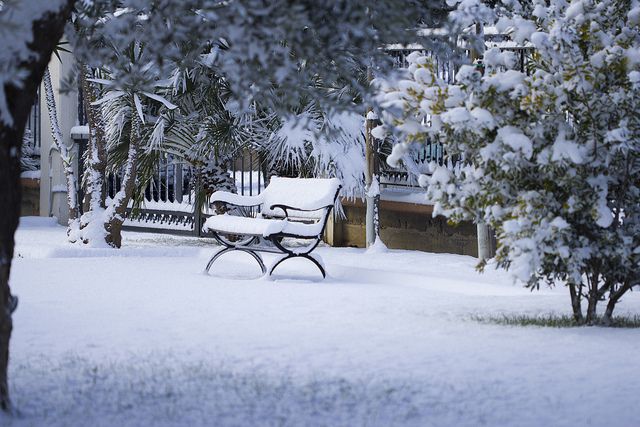 Neve a Foggia