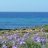 Residence Cala Verde (LE) Puglia
