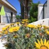 Residence Cala Verde (LE) Puglia