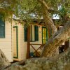 Camping Santa Maria Di Leuca (LE) Puglia