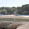 Spiaggia con rocce, fitta vegetazione e mare.