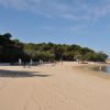 Spiaggia sabbiosa con persone e ombrelloni vicino a una foresta.