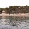Spiaggia con alberi e bagnanti, mare calmo.