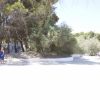 Spiaggia soleggiata con alberi, qualche persona.