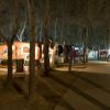 Roulotte illuminate tra alberi di notte.