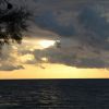 Mare al tramonto con nuvole scure e albero a sinistra.