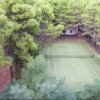 Campo da tennis in erba circondato da alberi.