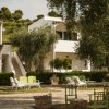 Un cortile di una villa con sedie bianche e verdi, circondato da alberi.